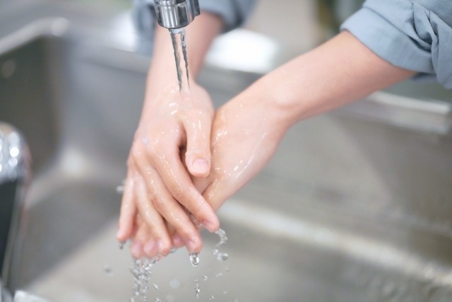 ノロウイルス 食中毒