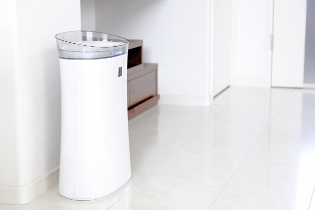 スギ花粉　季節性アレルギー性鼻炎