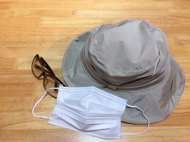 2024年 花粉飛散量