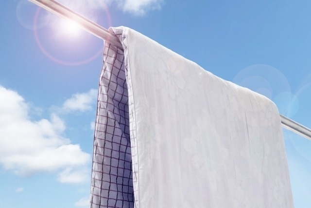 トコジラミ被害 対策