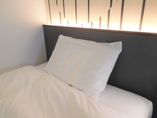 トコジラミ被害 対策