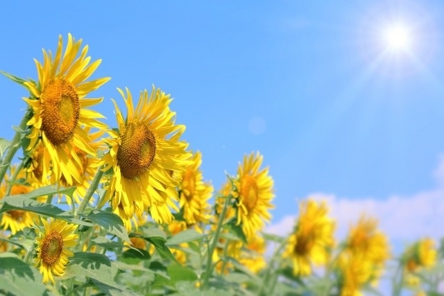 光化学オキシダント