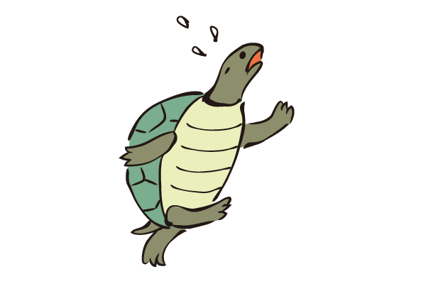 カメ お知らせ ひらの歯科 病院 介護ナビ Milmil