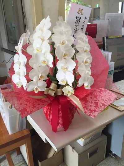 13528812_10094230624