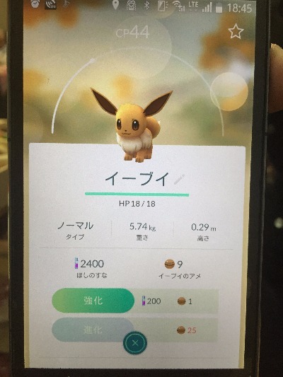 ポケモン現る お知らせ 交通事故治療 整形外科病院 ふじた医院 病院 介護ナビ Milmil