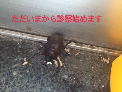 14079508_10473996953