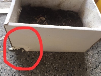 14079520_10473996987