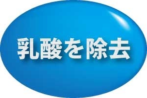 乳酸、疲労物質、初動負荷運動トレーニング
