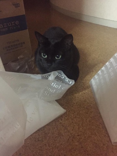 交通事故治療専門の整形外科病院、善通寺ふ