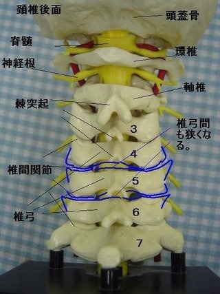 交通事故治療専門の整形外科病院、善通寺ふ