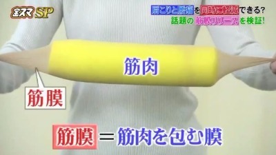 筋膜、筋膜リリース、善通寺ふじた医院