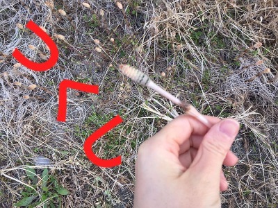 善通寺 多度津 お彼岸 お墓参り  つく