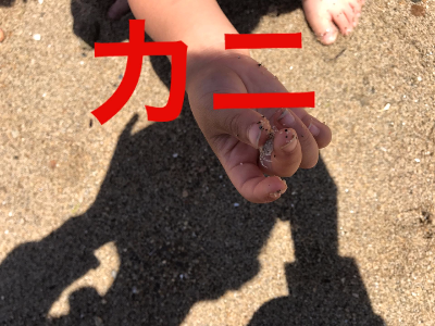 三豊市 詫間町 仁尾町 病院 診療所 ク