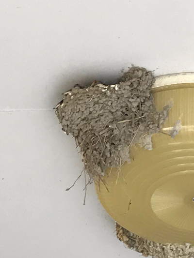 42E25681-3609-41F1-B