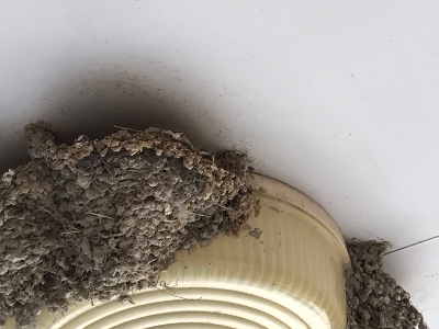 善通寺 丸亀    訪問リハビリ 往診 