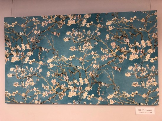 花咲くアーモンドの木の枝 お知らせ サービス付き高齢者向け住宅 アルファリビング高松百間町 病院 介護ナビ Milmil